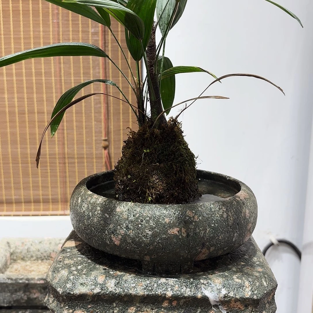 石材茶园石石盆徽派石雕