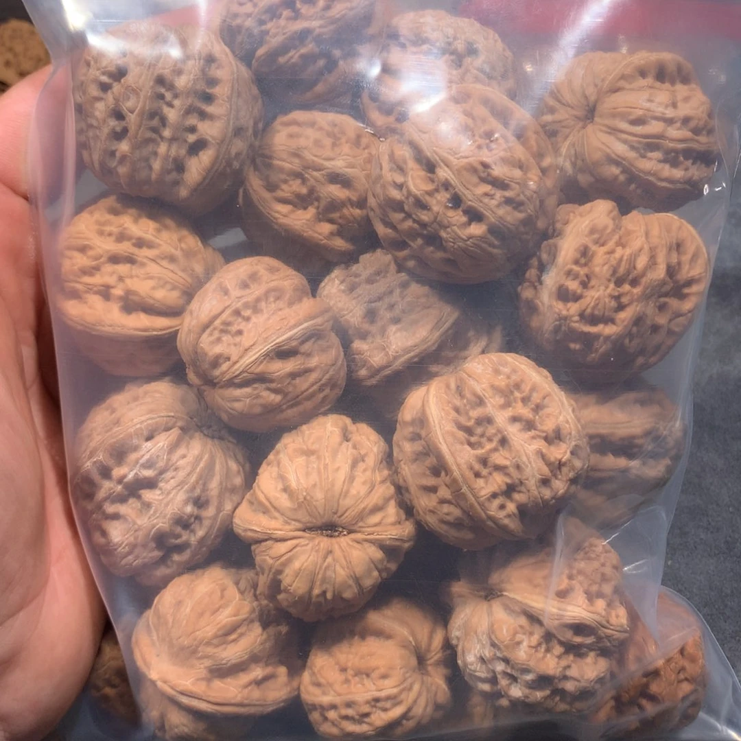 这****？元宝散果27个单只尺寸不一