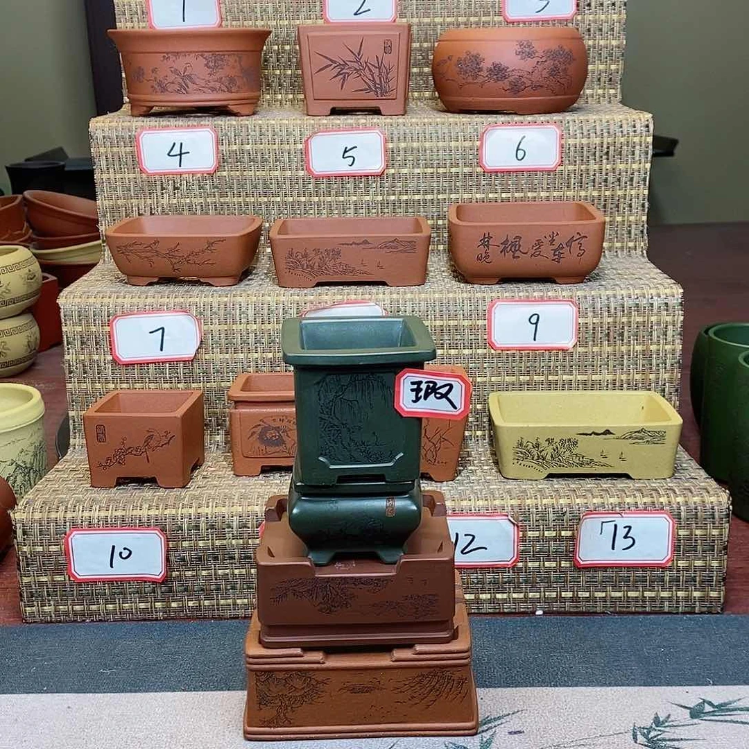 紫砂花盆我在等他