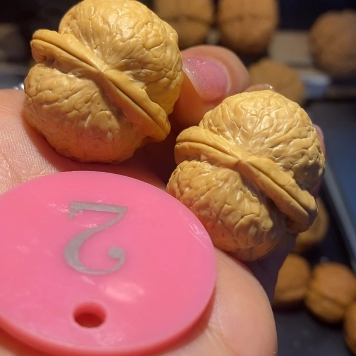 核桃粗筋肥仔尺寸31