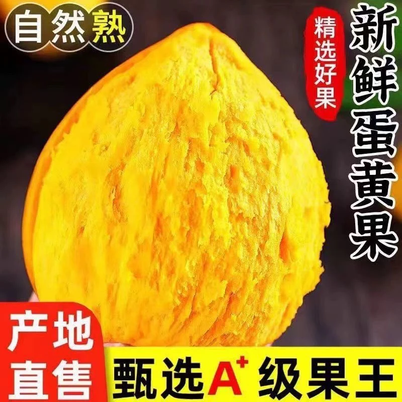 自家种植新鲜现摘鸡蛋果包邮