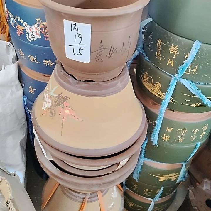 紫砂花盆老桩金弹子盆景