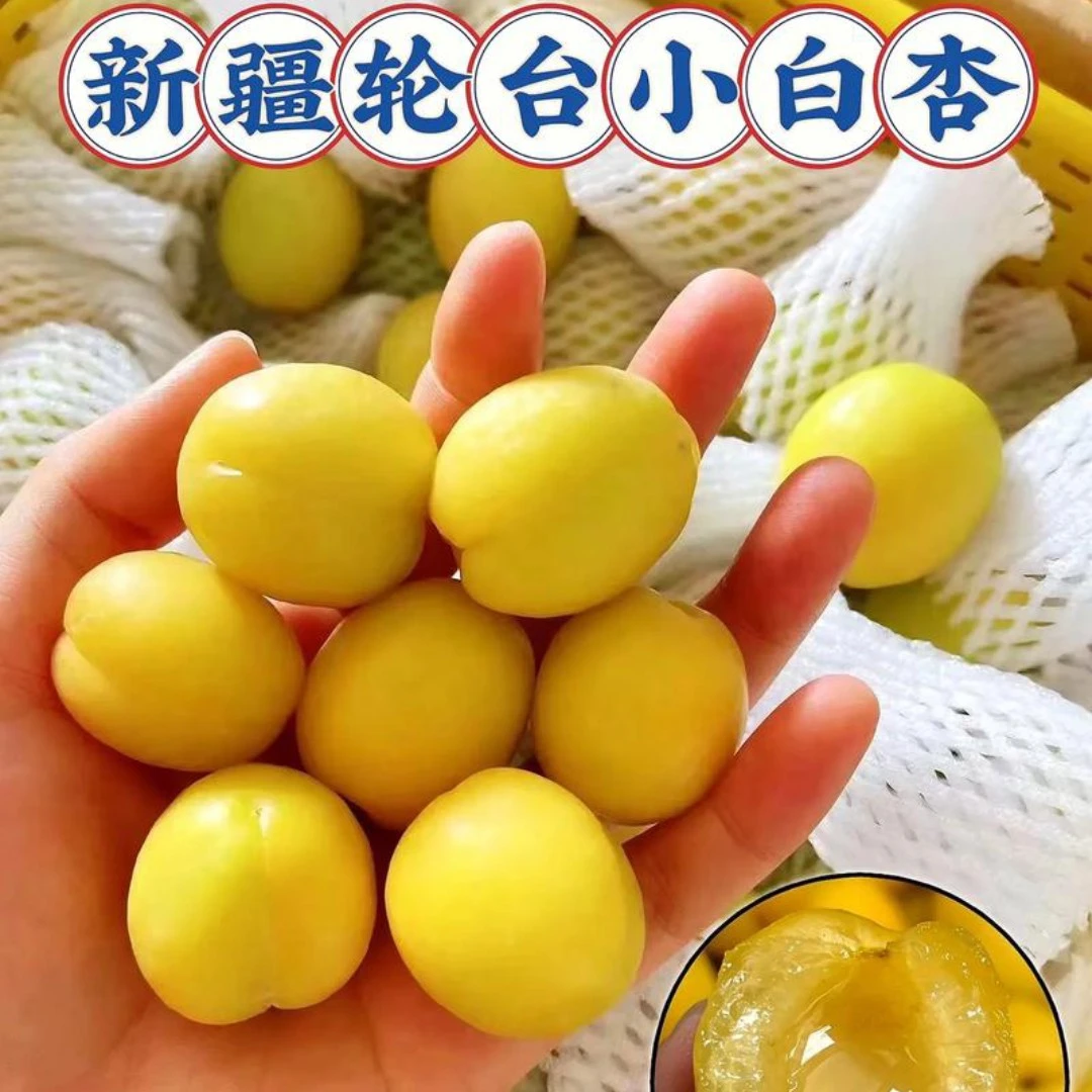 轮台县小白杏维生素丰富