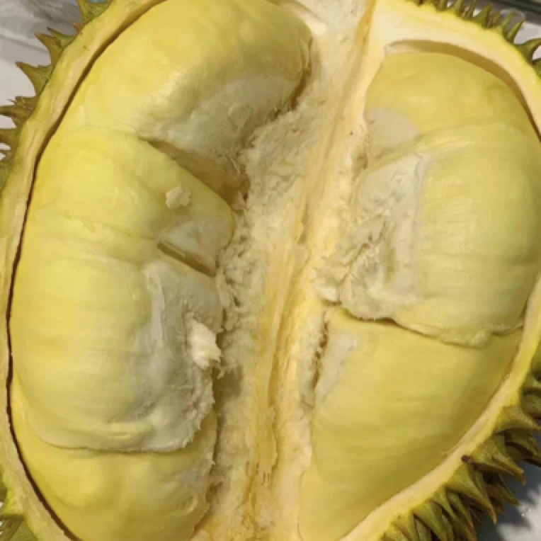 【特价果】越南金枕鲜榴莲（夹生偏熟）2斤核小金枕越南