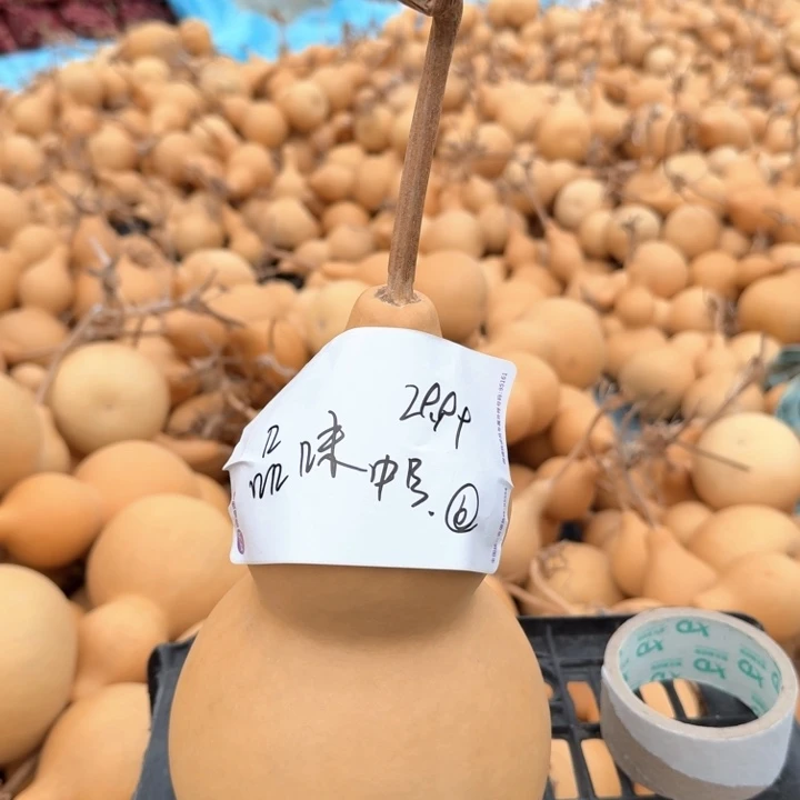 品***味木质类中号29.99米6号不退