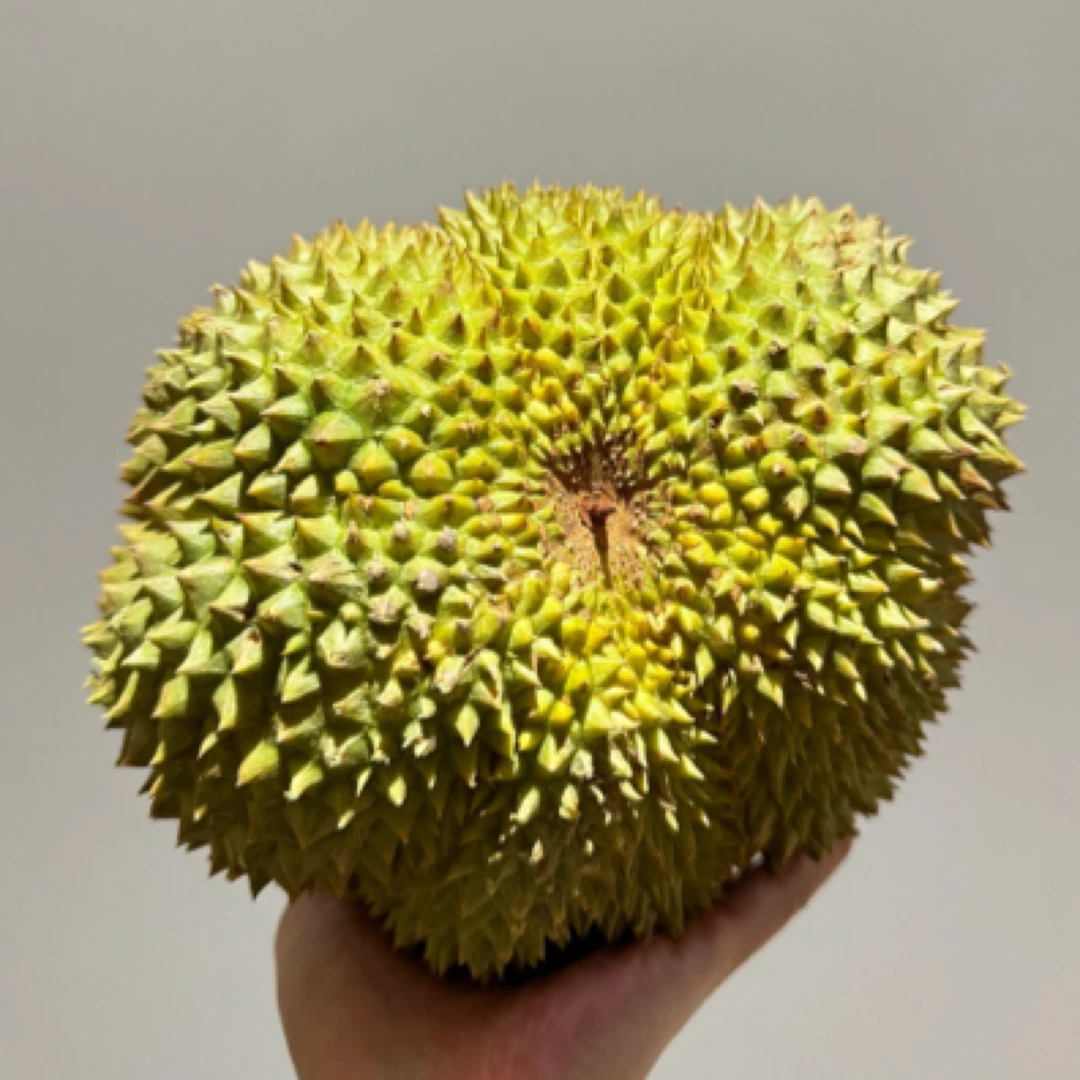 泰国空运新鲜甲仑榴莲