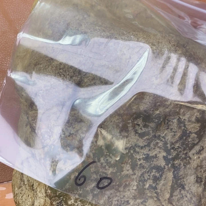 giu gy cy vu vu vu vu