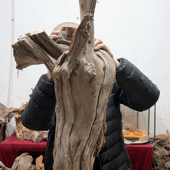 柏木柏*我们都是好孩子呀我也