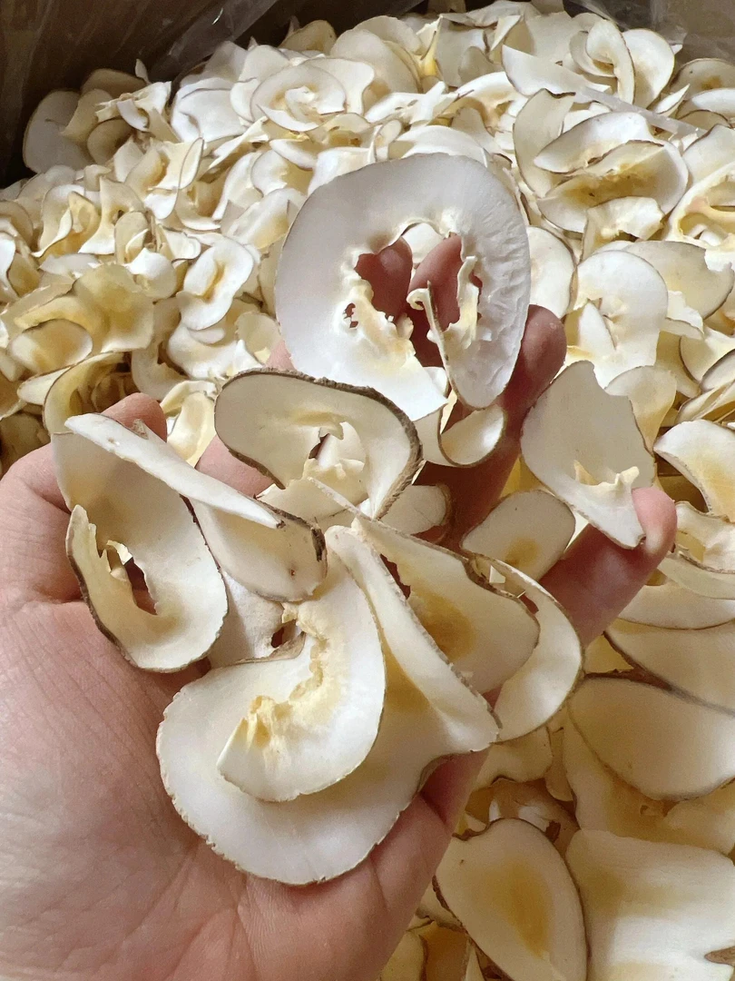 海底 椰片新货清香原味可搭配枸杞煲汤  5