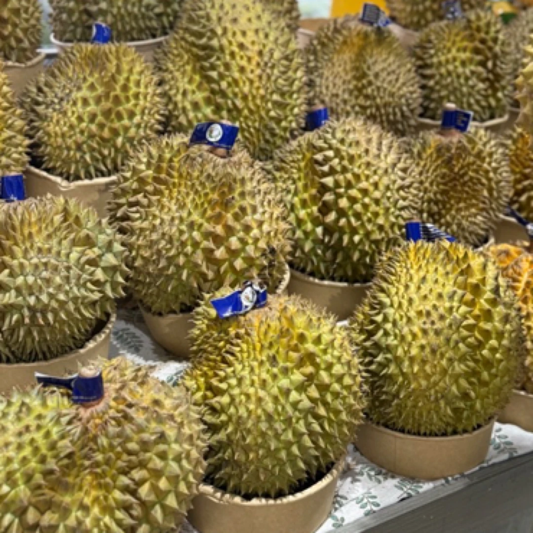 金猴树上熟双A果榴莲/带壳/干包大黄肉/新鲜榴莲/38一斤/核小榴莲同城送榴莲同城配金枕泰国东部