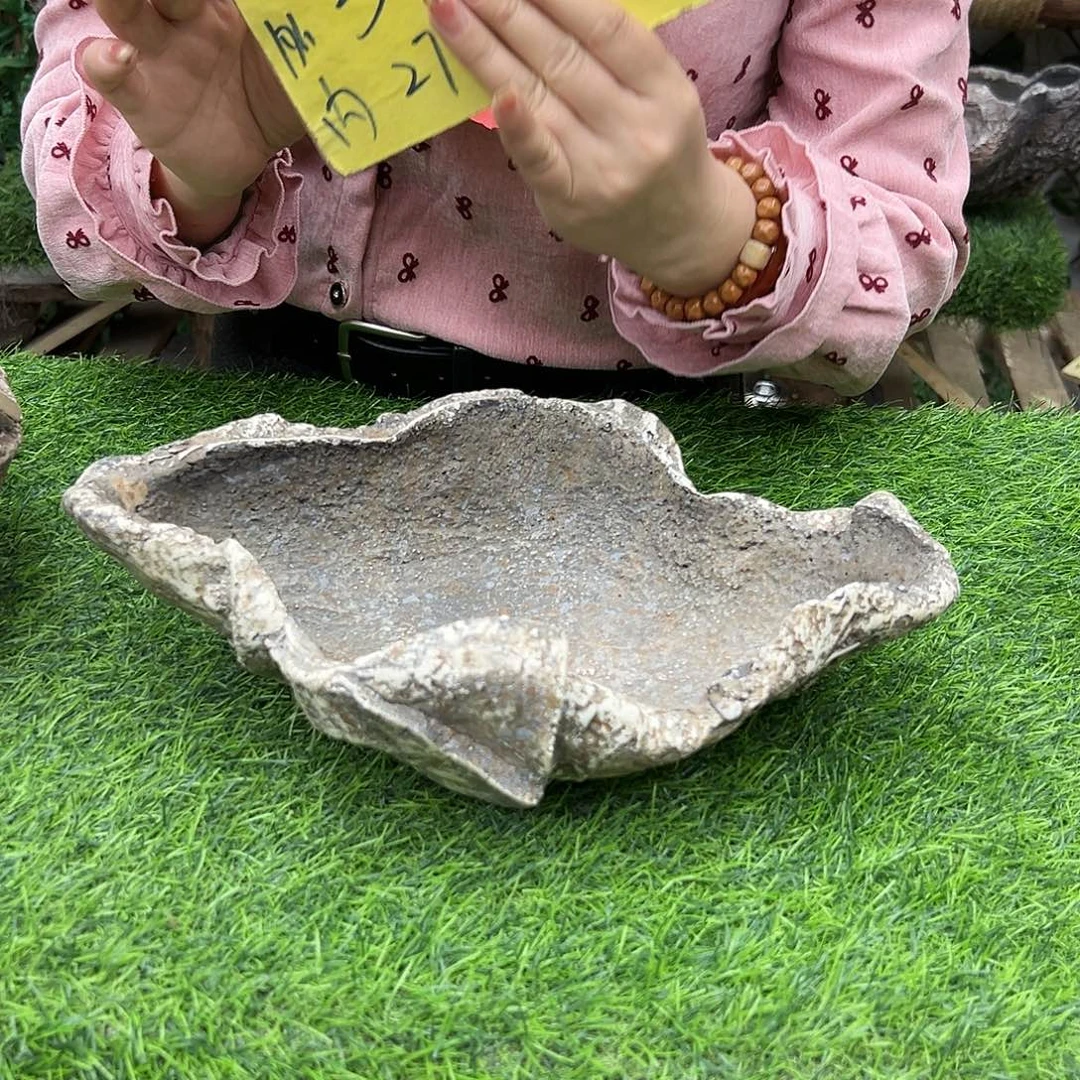 盆景异性花盆鱼缸p5-001
