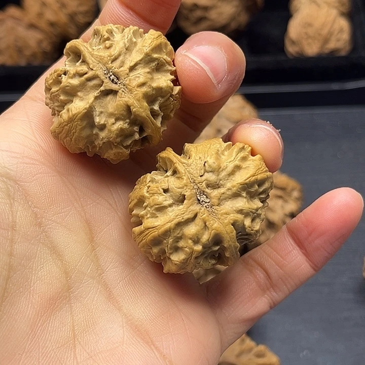 木质类秦岭突突突突突