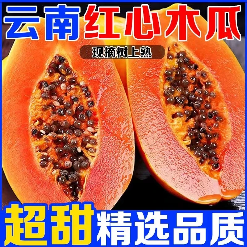 云南正宗老树树上熟红心冰糖牛奶木瓜树熟自然熟孕妇水果老树木瓜