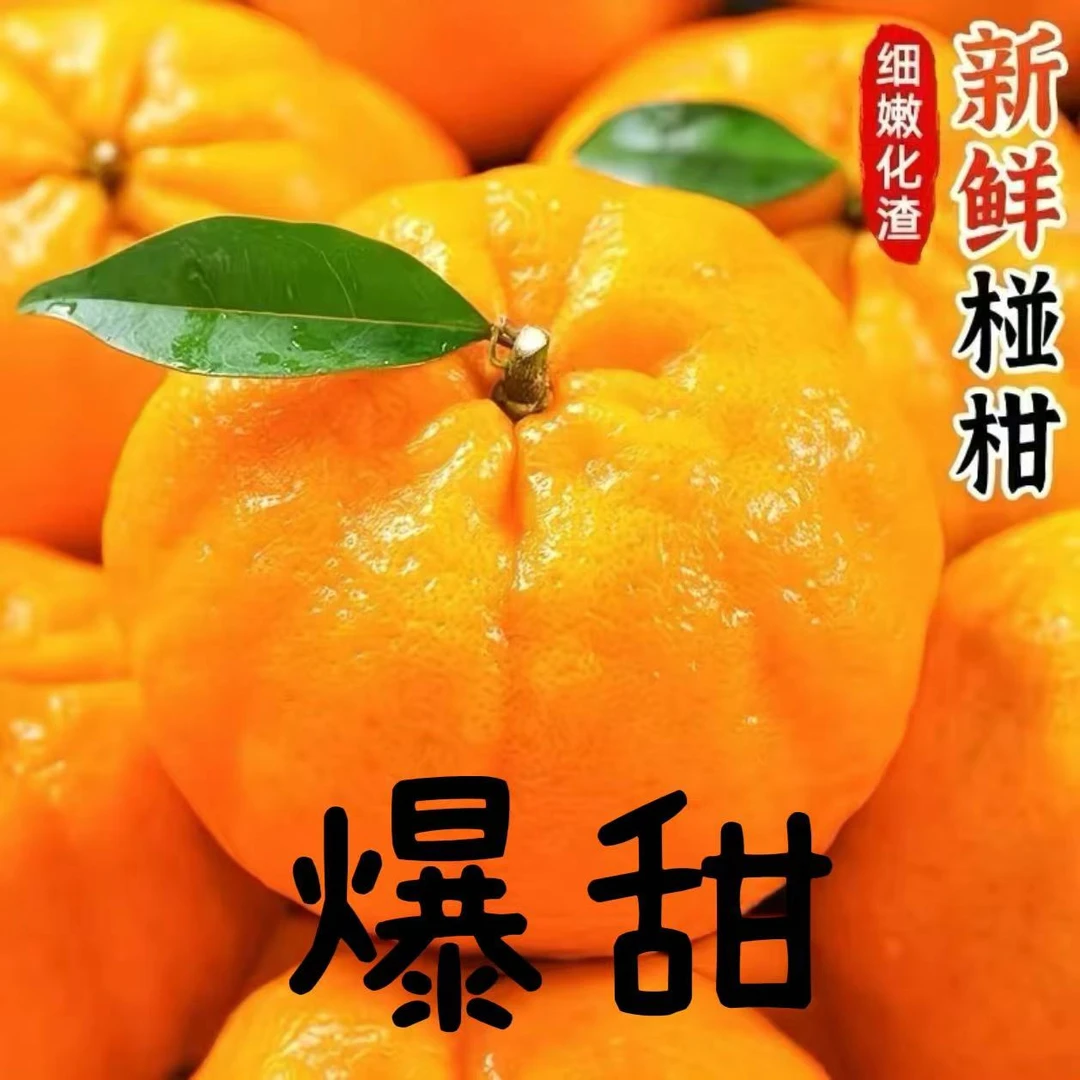 2025年秋季正宗湖北原产地新鲜采摘椪柑甘甜爆汁一箱批发