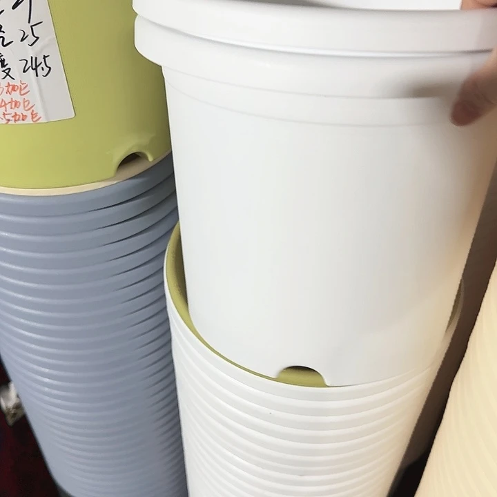 四季5#白色5个带托