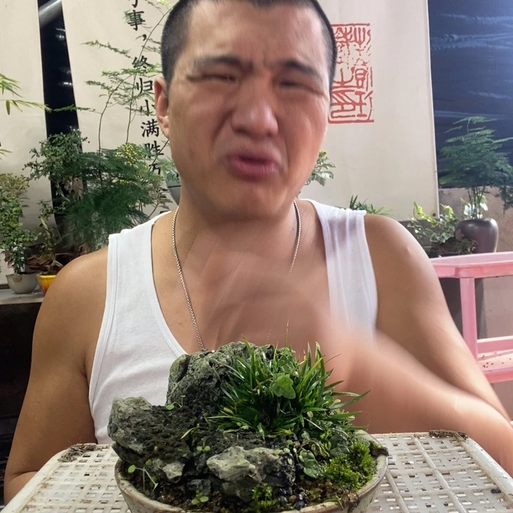 无花朵退款拉黑拉黑74