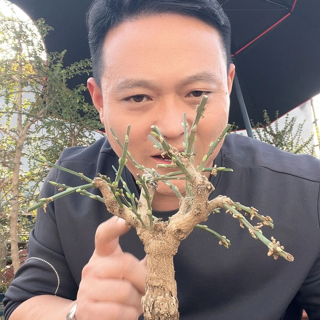詹***助无花朵谢谢你的关心和支持