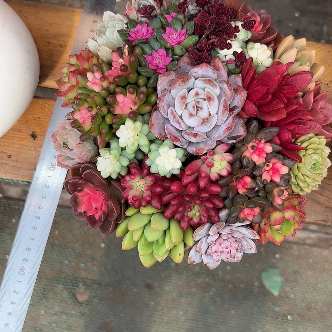 聚宝盆花园组合花园