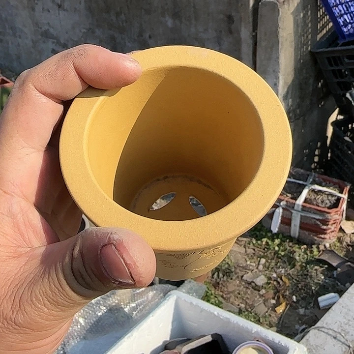 不说算什么呀亲爱的在那你干吧明天