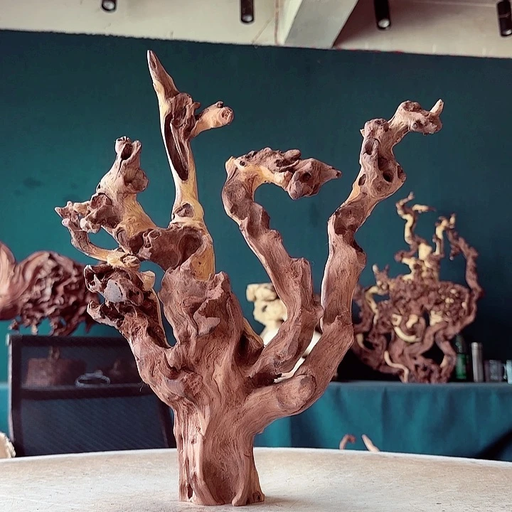 黑果木高****师557 金丝红木羊蹄甲半成品