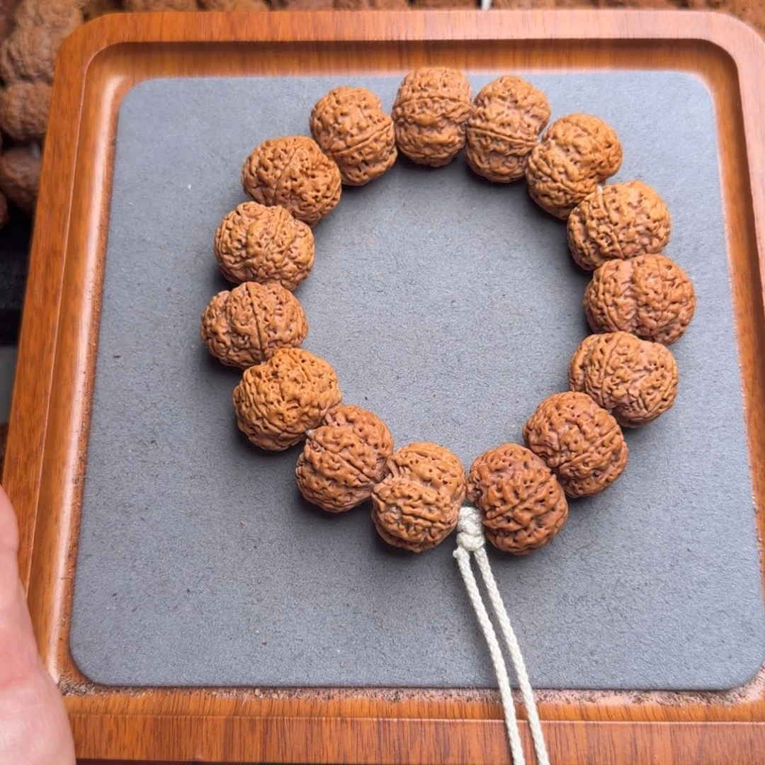 菩提12号尼泊尔大金刚24梅花蜂窝