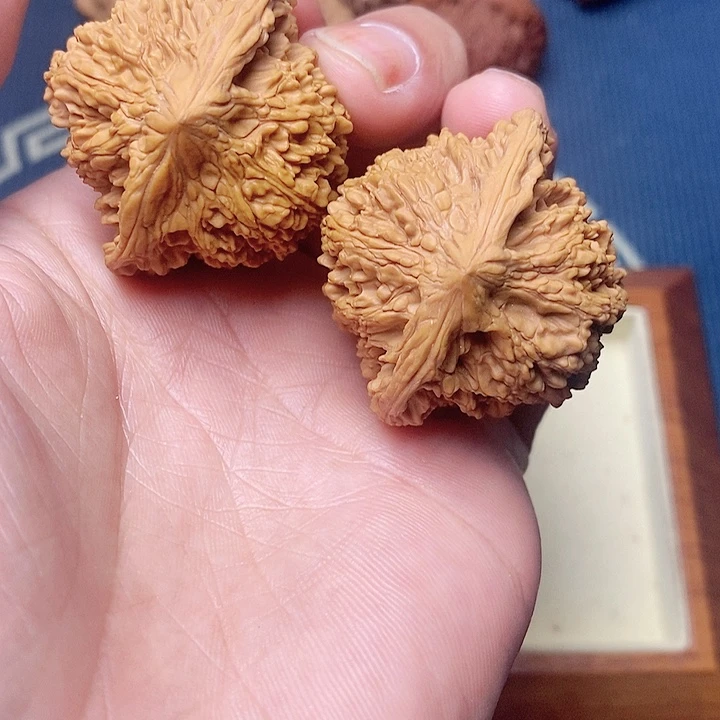 吊坠文玩核桃41满天星核桃