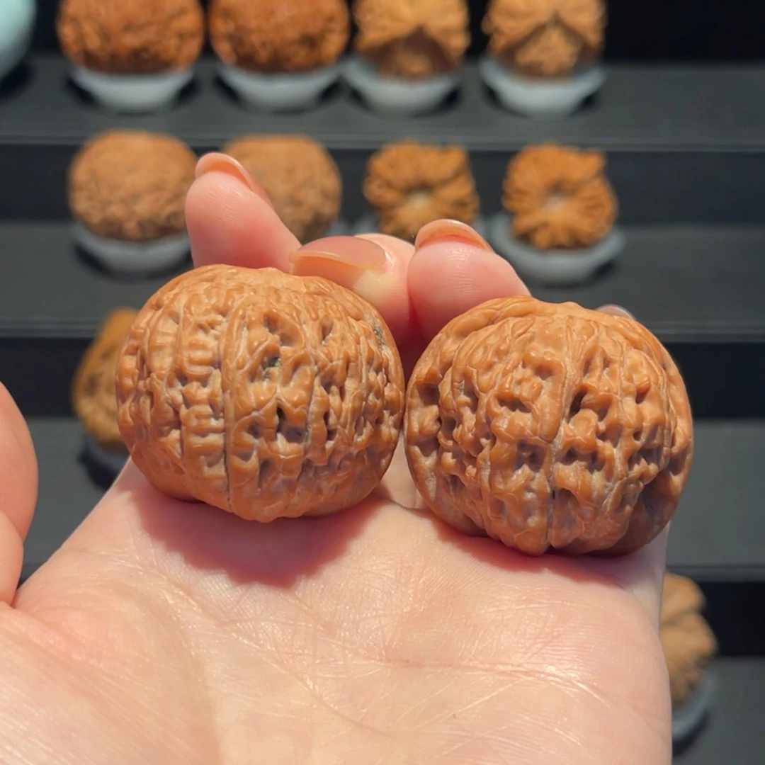 伞***莲花37精品，全品413