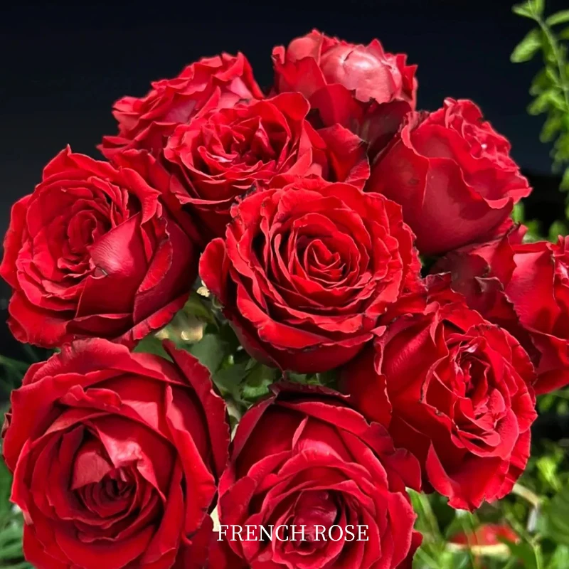 500ml法兰西玫瑰单方精油