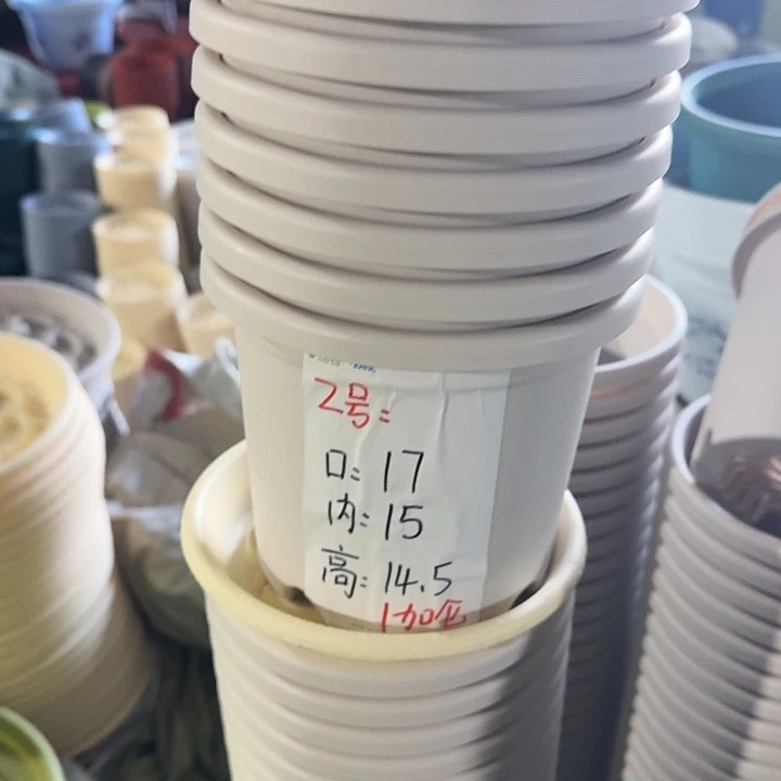 四季2#口径17灰白6个无托