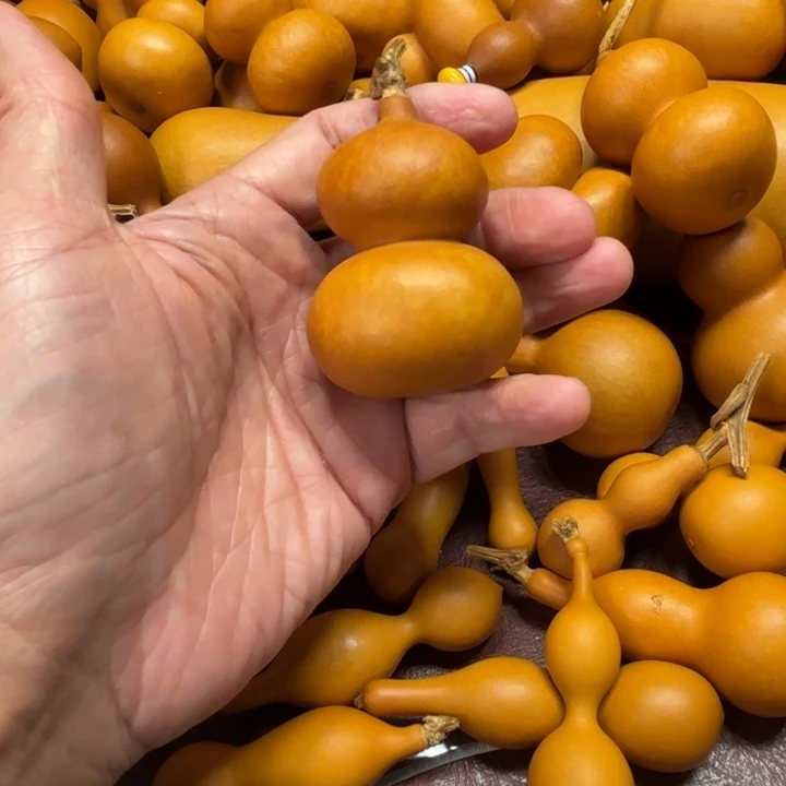 肥****门肥多多的一把花皮，八宝钱袋子葫芦