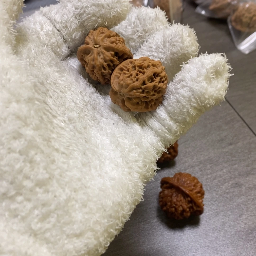 秦岭森林茂密和植被稀疏