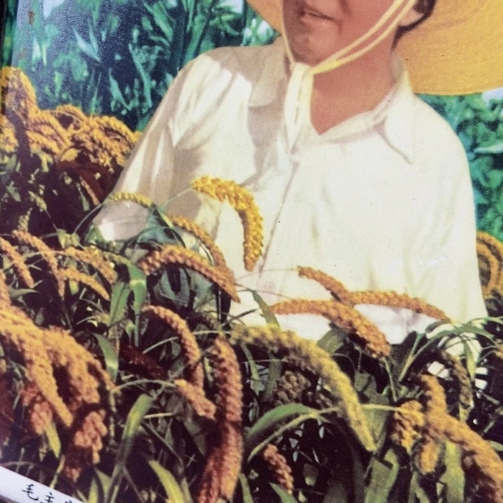 【闪购商品】正能量满满正能量