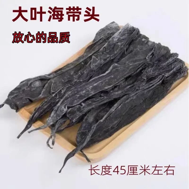 海带头特厚炖汤干海带头特厚无尾干海带一等品无盐干海带头