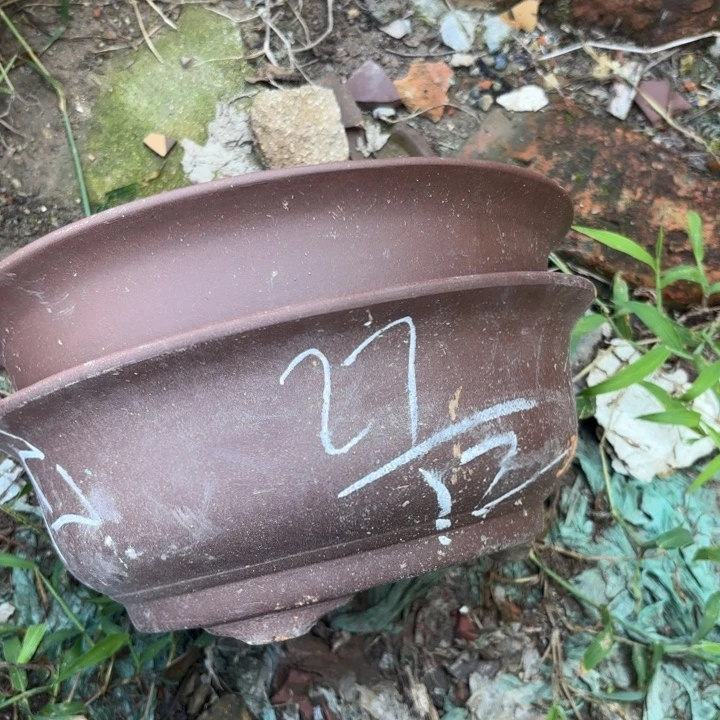 紫砂花盆紫砂的花
