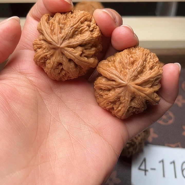 核桃40全品粗筋4074