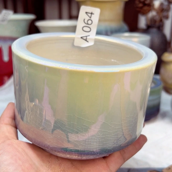 景德镇陶瓷研究所阿**花