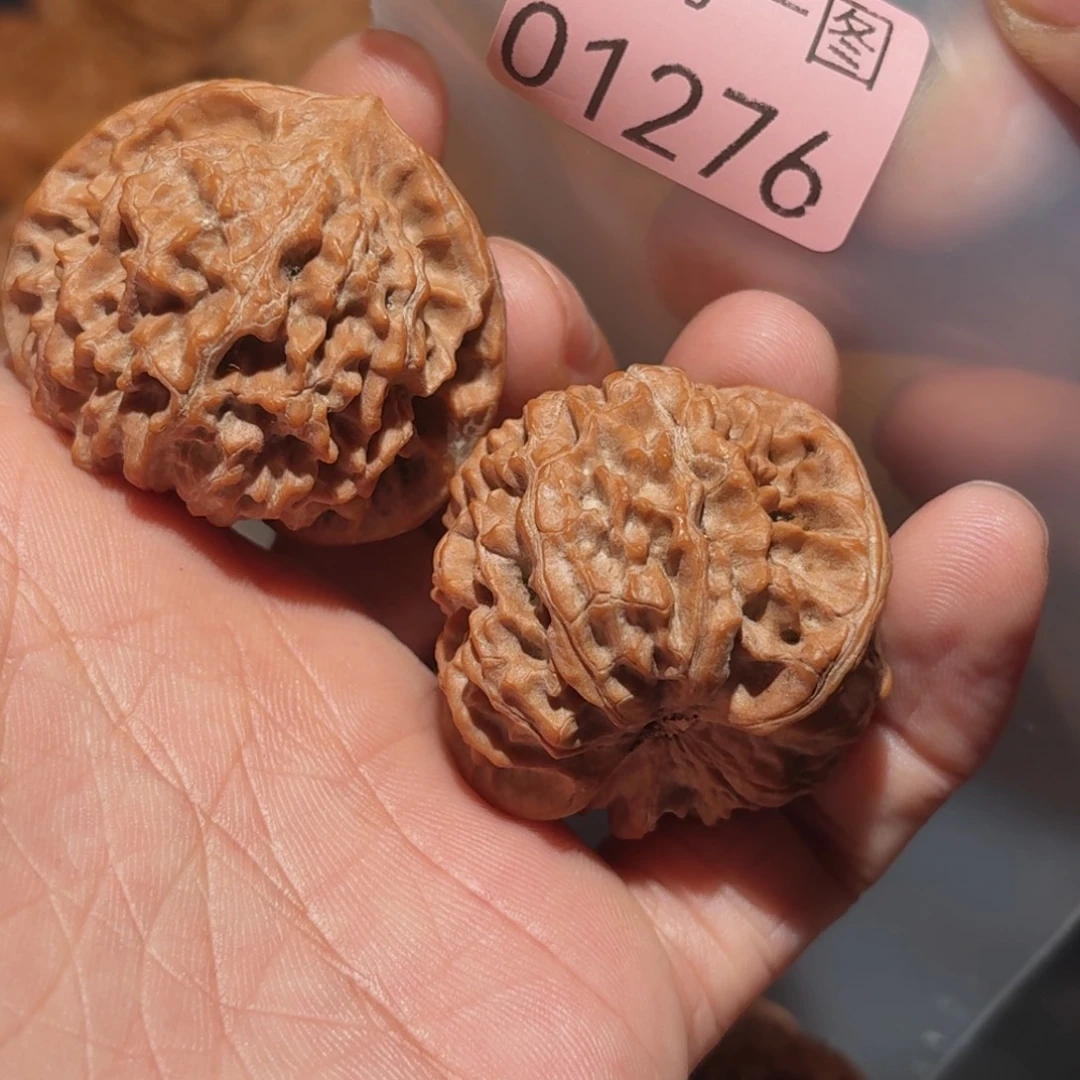 吊坠文玩核桃红珊瑚