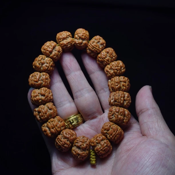 精挑方墩梅花双龙纹小金刚菩提手串单圈文玩手串收藏级别金刚手串