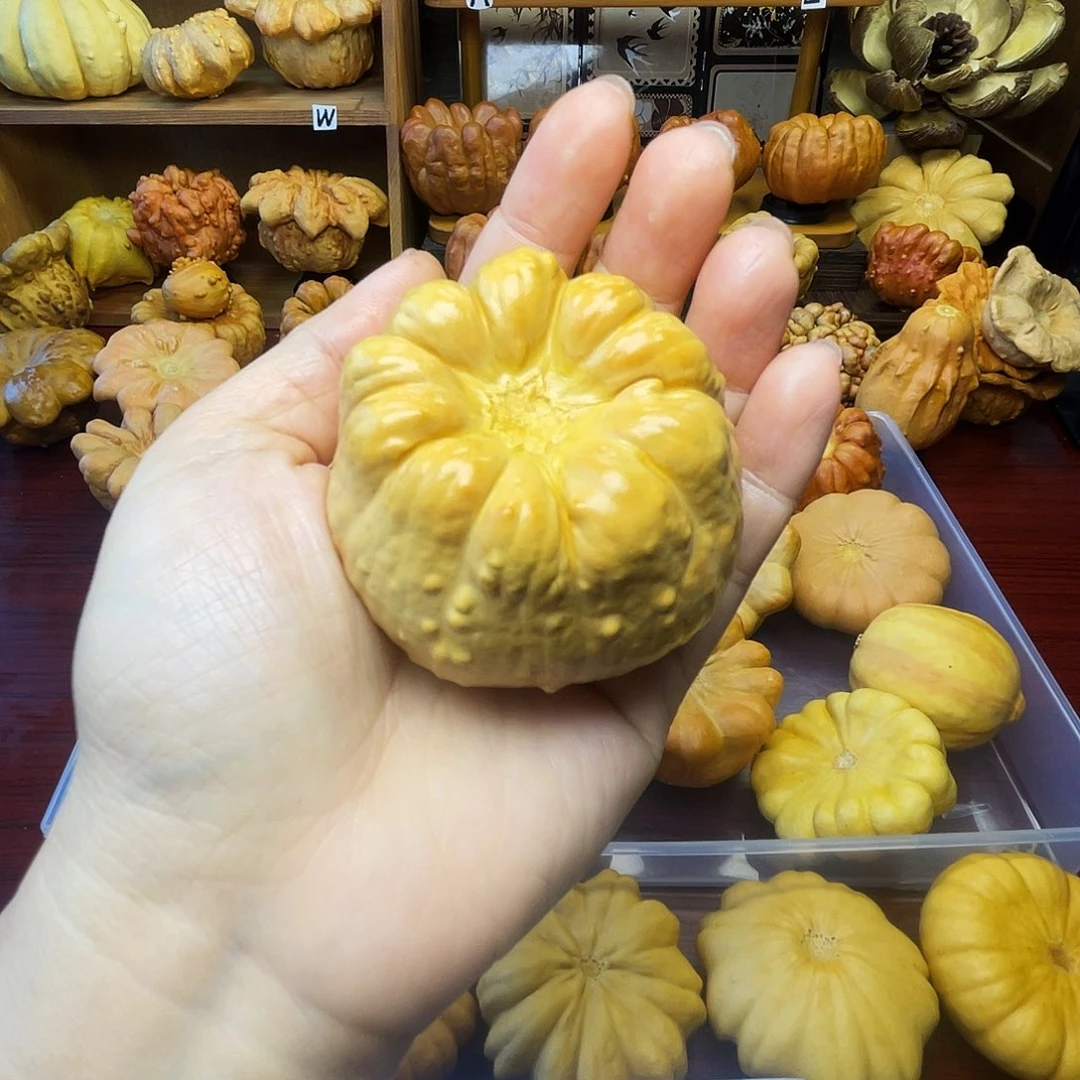 葫芦花罐 包子 开播福利