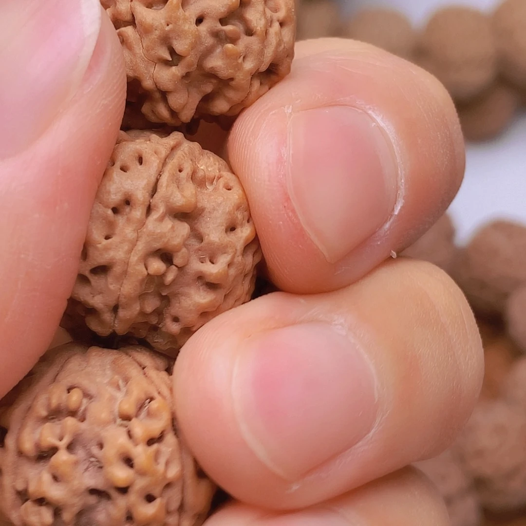 金刚菩提把件5瓣21双龙