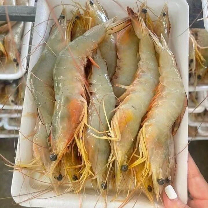 一晚海货上岸 纯野生明虾5斤  顺丰包邮