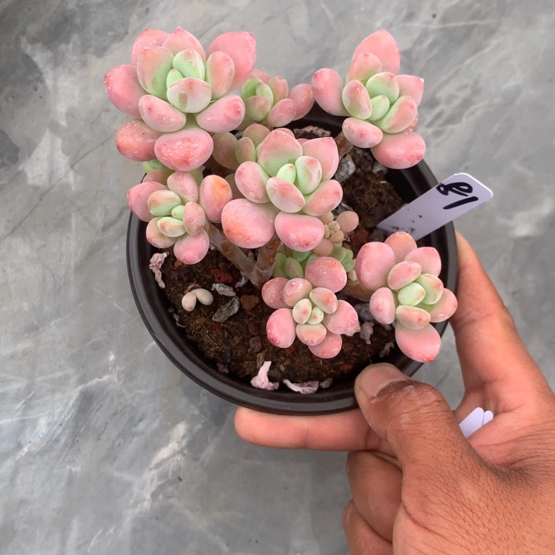 你就不要和人家计较什么