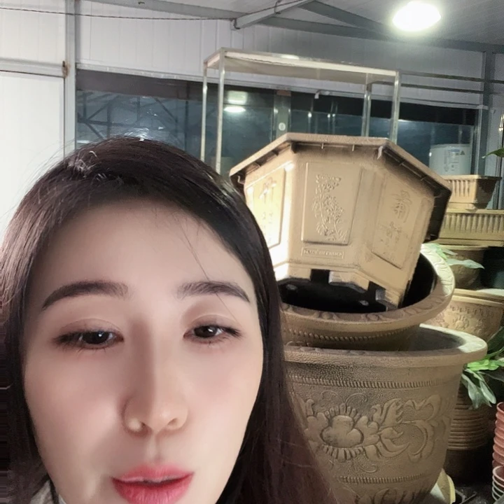 圆50口径花盆两个