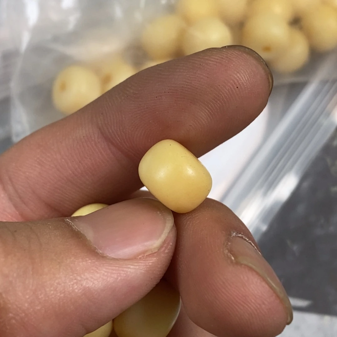 手串/手链驼骨1.2尺寸驼牙2