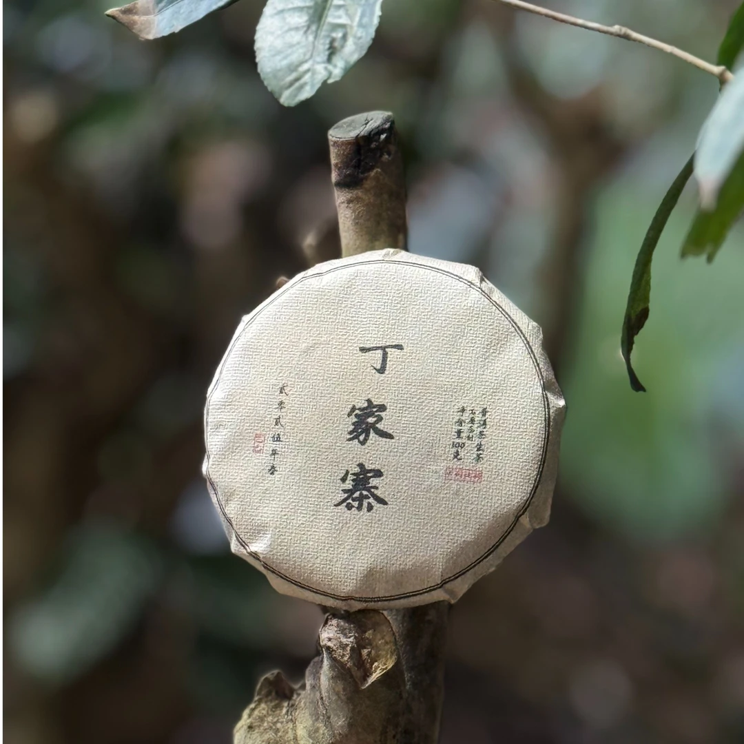 2025年 丁家寨古树纯料头春 普洱生茶100克/饼