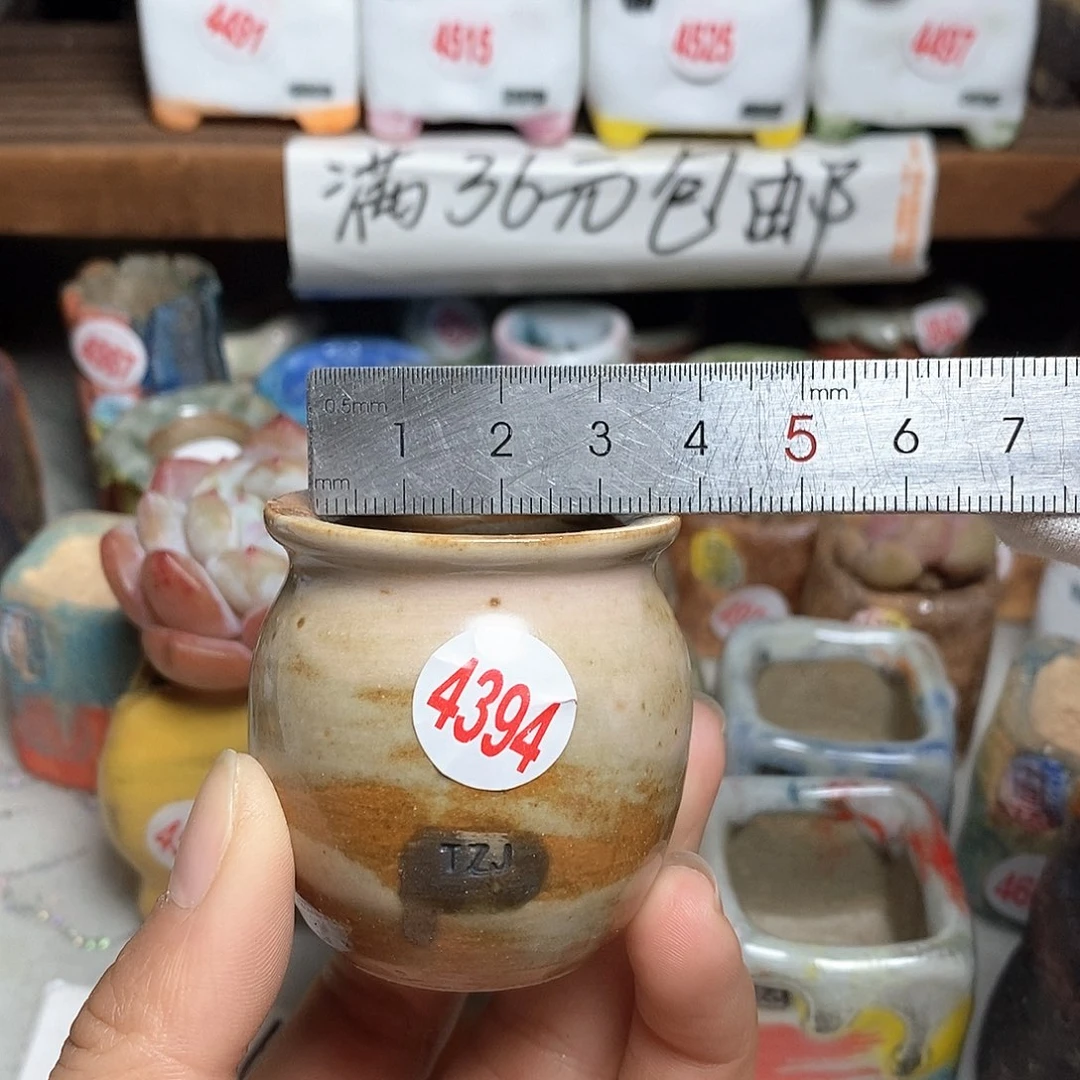 红陶拍5送一个小