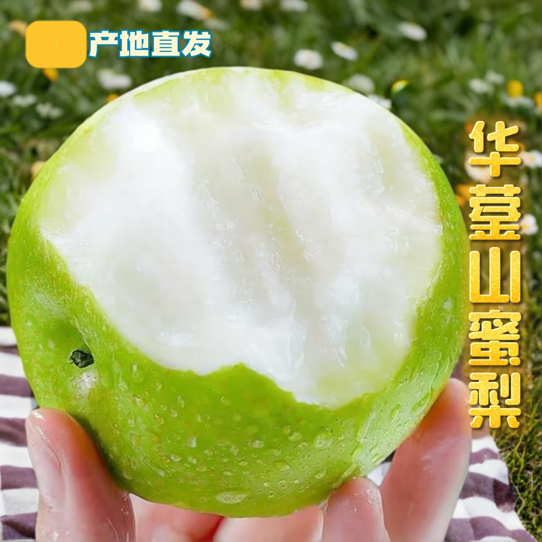 果农直发华蓥山酥脆多汁大果蜜梨果农合作社自产自销