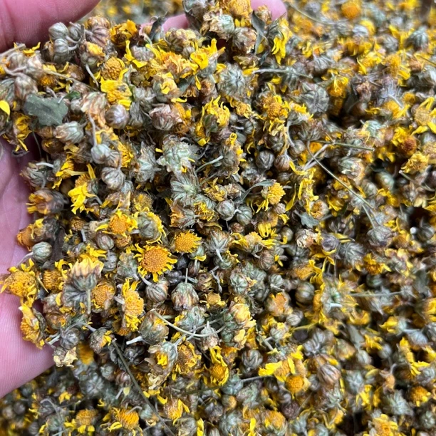 粤北山区连州山野菊花150克/250克