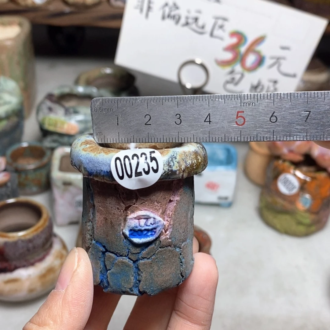 花盆拍3送一个小礼物