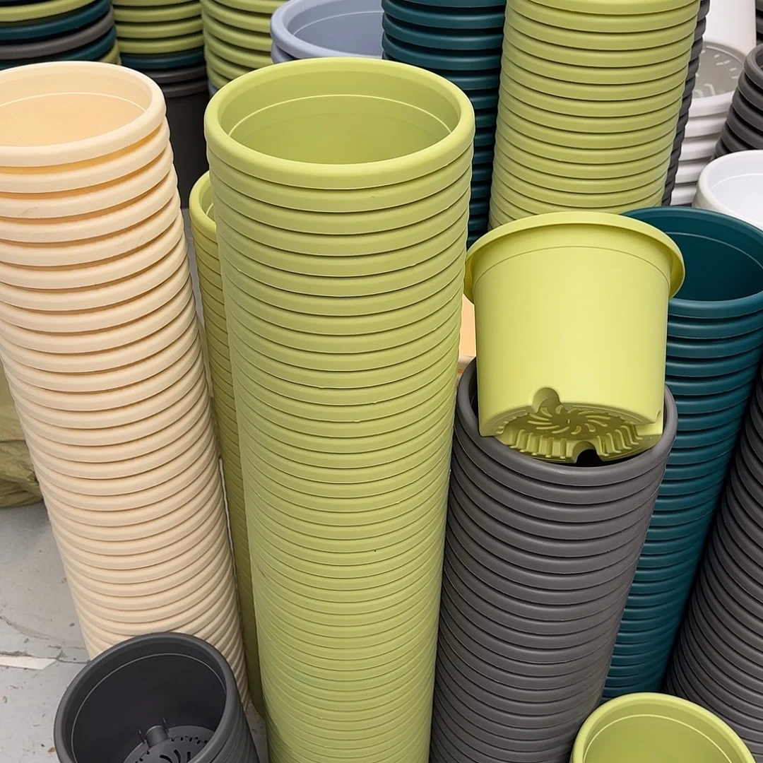 微瑕3号10个无托，果绿